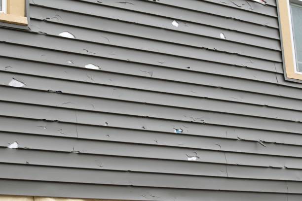 Affordable siding repair and maintenance services in Hahnville, LA